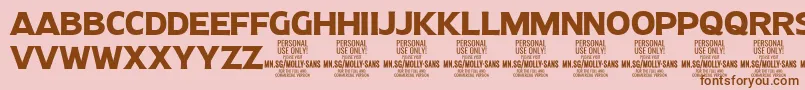 MollySansN Bo PERSONAL Font – Brown Fonts on Pink Background