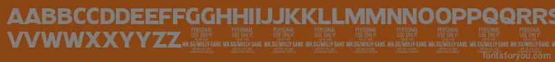 MollySansN Bo PERSONAL Font – Gray Fonts on Brown Background