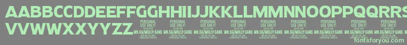 MollySansN Bo PERSONAL Font – Green Fonts on Gray Background
