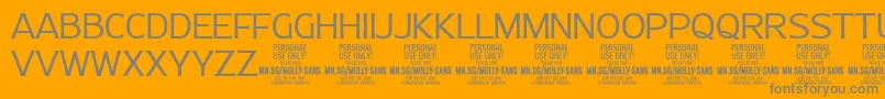 MollySansN Li PERSONAL-Schriftart – Graue Schriften auf orangefarbenem Hintergrund