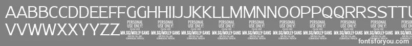 MollySansN Li PERSONAL Font – White Fonts on Gray Background