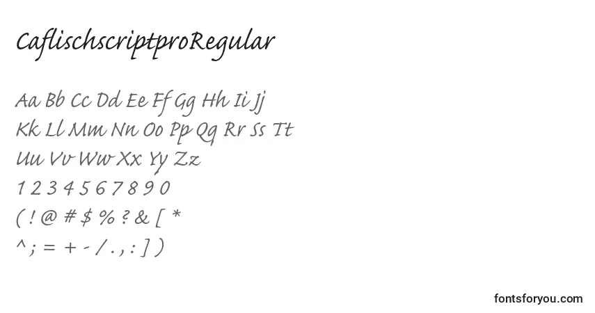 Schriftart CaflischscriptproRegular – Alphabet, Zahlen, spezielle Symbole