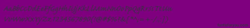 CaflischscriptproRegular Font – Black Fonts on Purple Background