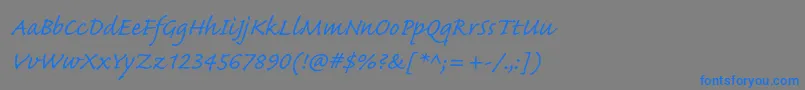 CaflischscriptproRegular Font – Blue Fonts on Gray Background