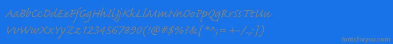 CaflischscriptproRegular Font – Gray Fonts on Blue Background