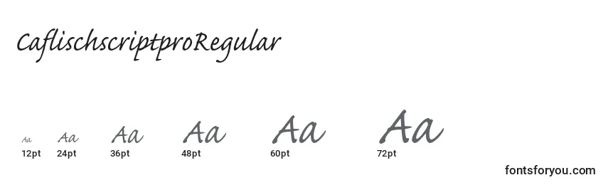 Размеры шрифта CaflischscriptproRegular