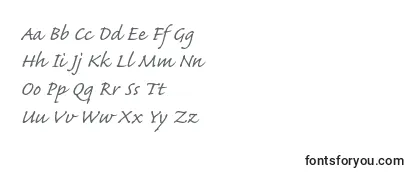 CaflischscriptproRegular Font