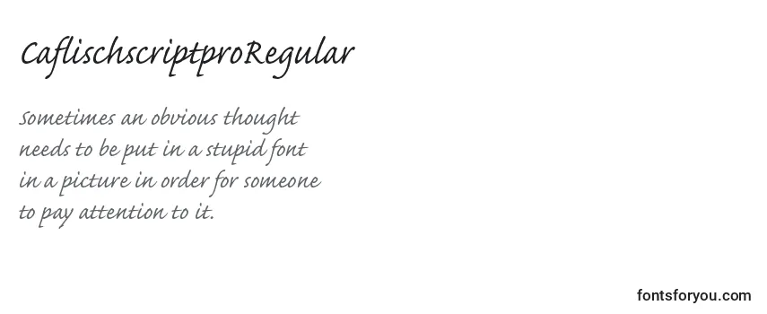 CaflischscriptproRegular Font