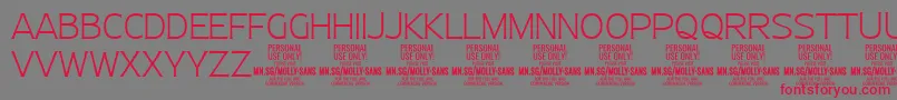 MollySansN Th PERSONAL Font – Red Fonts on Gray Background