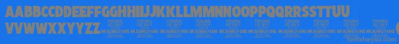 Подробнее о шрифте MollySansXC Bl PERSONAL Шрифт MollySansXC Bl PERSONAL – серые шрифты на синем фоне