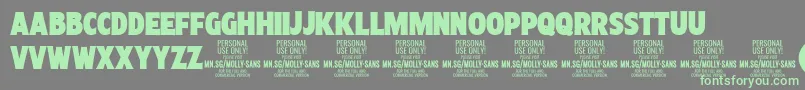 Weitere Informationen zur MollySansXC Bl PERSONAL-Schriftart MollySansXC Bl PERSONAL-Schriftart – Grüne Schriften auf grauem Hintergrund