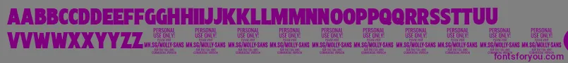 MollySansXC Bl PERSONAL Font – Purple Fonts on Gray Background