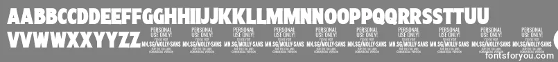 MollySansXC Bl PERSONAL Font – White Fonts on Gray Background