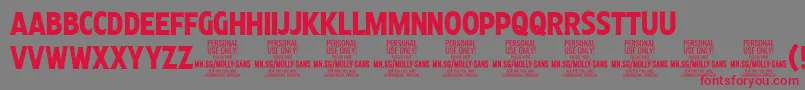 MollySansXC Bo PERSONAL Font – Red Fonts on Gray Background