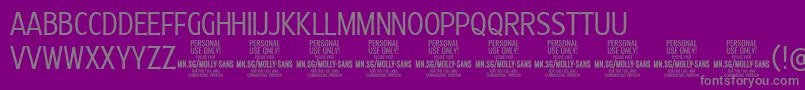 MollySansXC Li PERSONAL Font – Gray Fonts on Purple Background