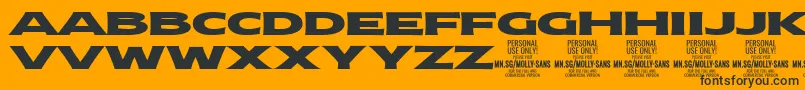 MollySansXE Bl PERSONAL Font – Black Fonts on Orange Background