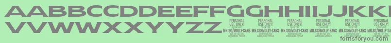 Подробнее о шрифте MollySansXE Bo PERSONAL Шрифт MollySansXE Bo PERSONAL – серые шрифты на зелёном фоне
