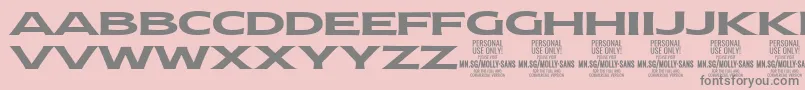 MollySansXE Bo PERSONAL-Schriftart – Graue Schriften auf rosa Hintergrund