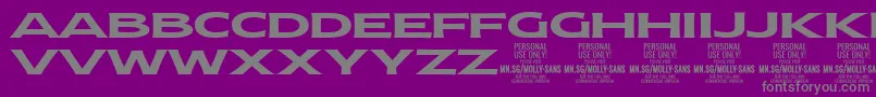 More about MollySansXE Bo PERSONAL Font MollySansXE Bo PERSONAL Font – Gray Fonts on Purple Background