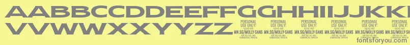 MollySansXE Bo PERSONALフォントについての詳細 フォントMollySansXE Bo PERSONAL – 黄色の背景に灰色の文字