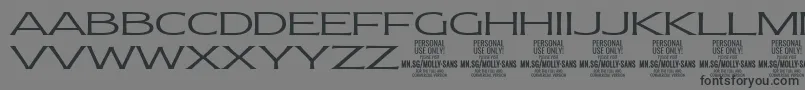 MollySansXE Li PERSONAL-Schriftart – Schwarze Schriften auf grauem Hintergrund