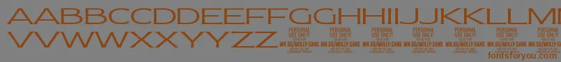 Police MollySansXE Li PERSONAL – polices brunes sur fond gris