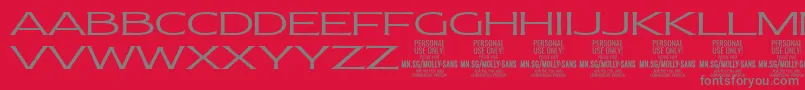 MollySansXE Li PERSONAL-Schriftart – Graue Schriften auf rotem Hintergrund