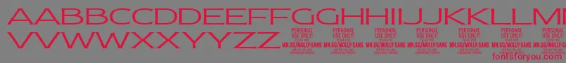 Шрифт MollySansXE Li PERSONAL – красные шрифты на сером фоне