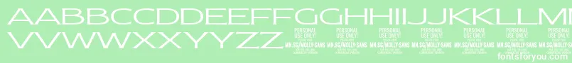 Weitere Informationen zur MollySansXE Li PERSONAL-Schriftart MollySansXE Li PERSONAL-Schriftart – Weiße Schriften auf grünem Hintergrund