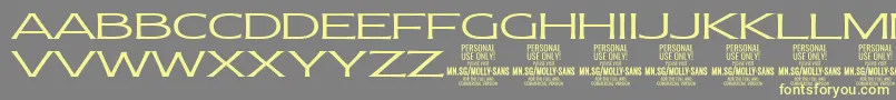 MollySansXE Li PERSONAL Font – Yellow Fonts on Gray Background