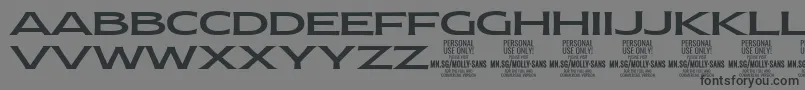 MollySansXE Me PERSONAL Font – Black Fonts on Gray Background