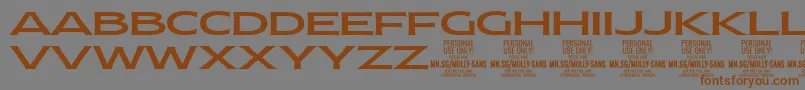 MollySansXE Me PERSONAL Font – Brown Fonts on Gray Background