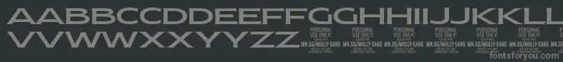 MollySansXE Me PERSONAL Font – Gray Fonts on Black Background