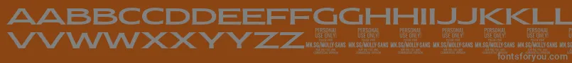 MollySansXE Me PERSONAL Font – Gray Fonts on Brown Background