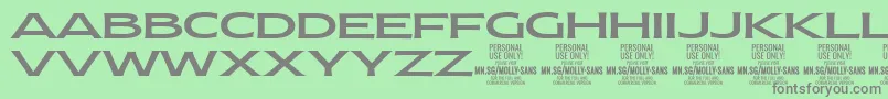 MollySansXE Me PERSONAL Font – Gray Fonts on Green Background