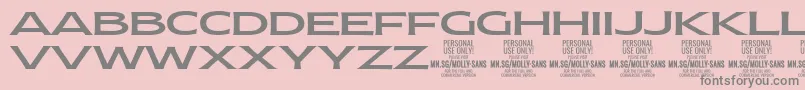 MollySansXE Me PERSONAL Font – Gray Fonts on Pink Background