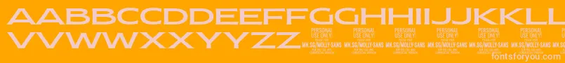 MollySansXE Me PERSONAL Font – Pink Fonts on Orange Background