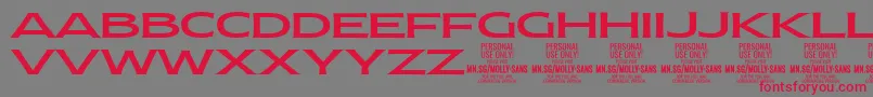 MollySansXE Me PERSONAL Font – Red Fonts on Gray Background
