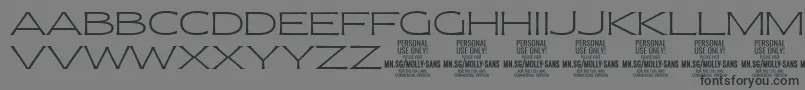 MollySansXE Th PERSONAL Font – Black Fonts on Gray Background
