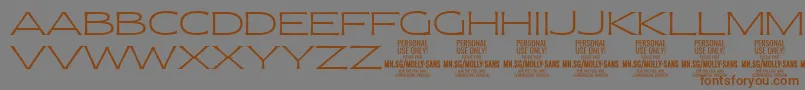 MollySansXE Th PERSONAL Font – Brown Fonts on Gray Background