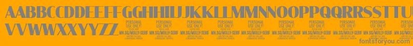 MollySerifC Bl PERSONAL Font – Gray Fonts on Orange Background