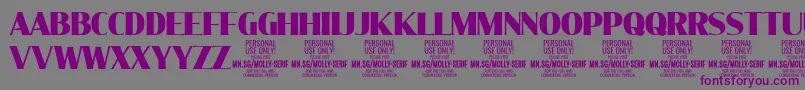 MollySerifC Bl PERSONAL Font – Purple Fonts on Gray Background