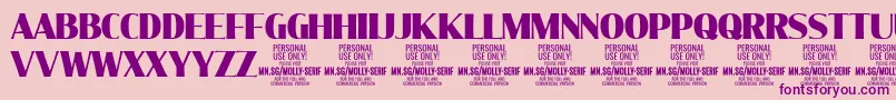 MollySerifC Bl PERSONAL Font – Purple Fonts on Pink Background