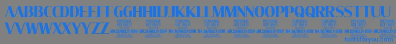 Шрифт MollySerifC Bo PERSONAL – синие шрифты на сером фоне