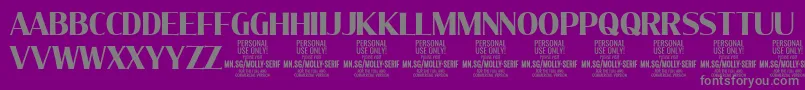 Police MollySerifC Bo PERSONAL – polices grises sur fond violet