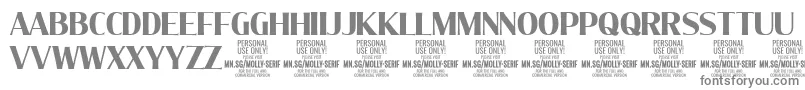MollySerifC Bo PERSONAL-Schriftart – Graue Schriften auf weißem Hintergrund