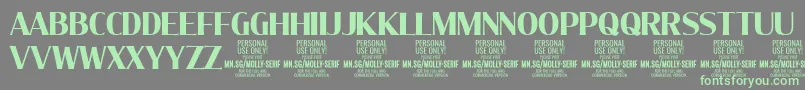 MollySerifC Bo PERSONAL Font – Green Fonts on Gray Background