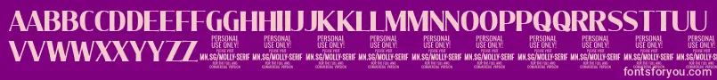 MollySerifC Bo PERSONAL Font – Pink Fonts on Purple Background