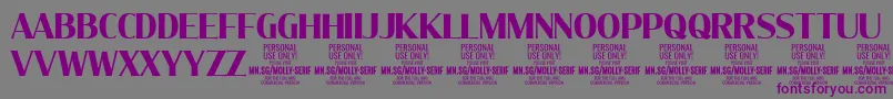 フォントMollySerifC Bo PERSONAL – 紫色のフォント、灰色の背景