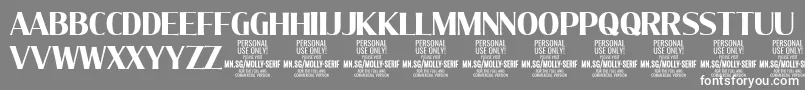 フォントMollySerifC Bo PERSONAL – 灰色の背景に白い文字